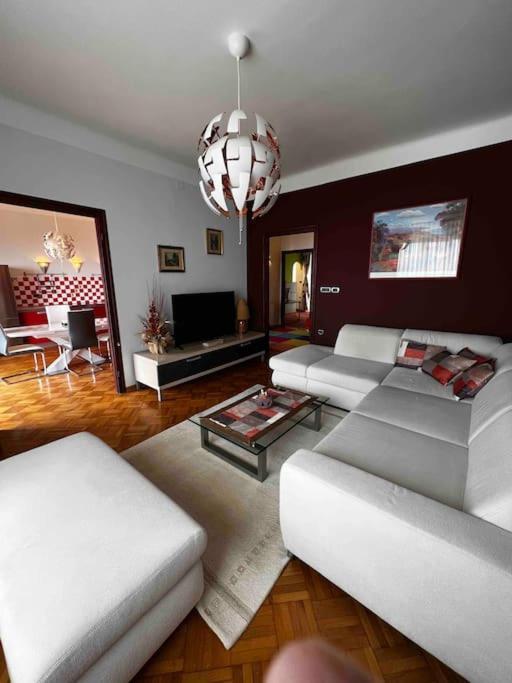 Alessio - Sea View Apartment
